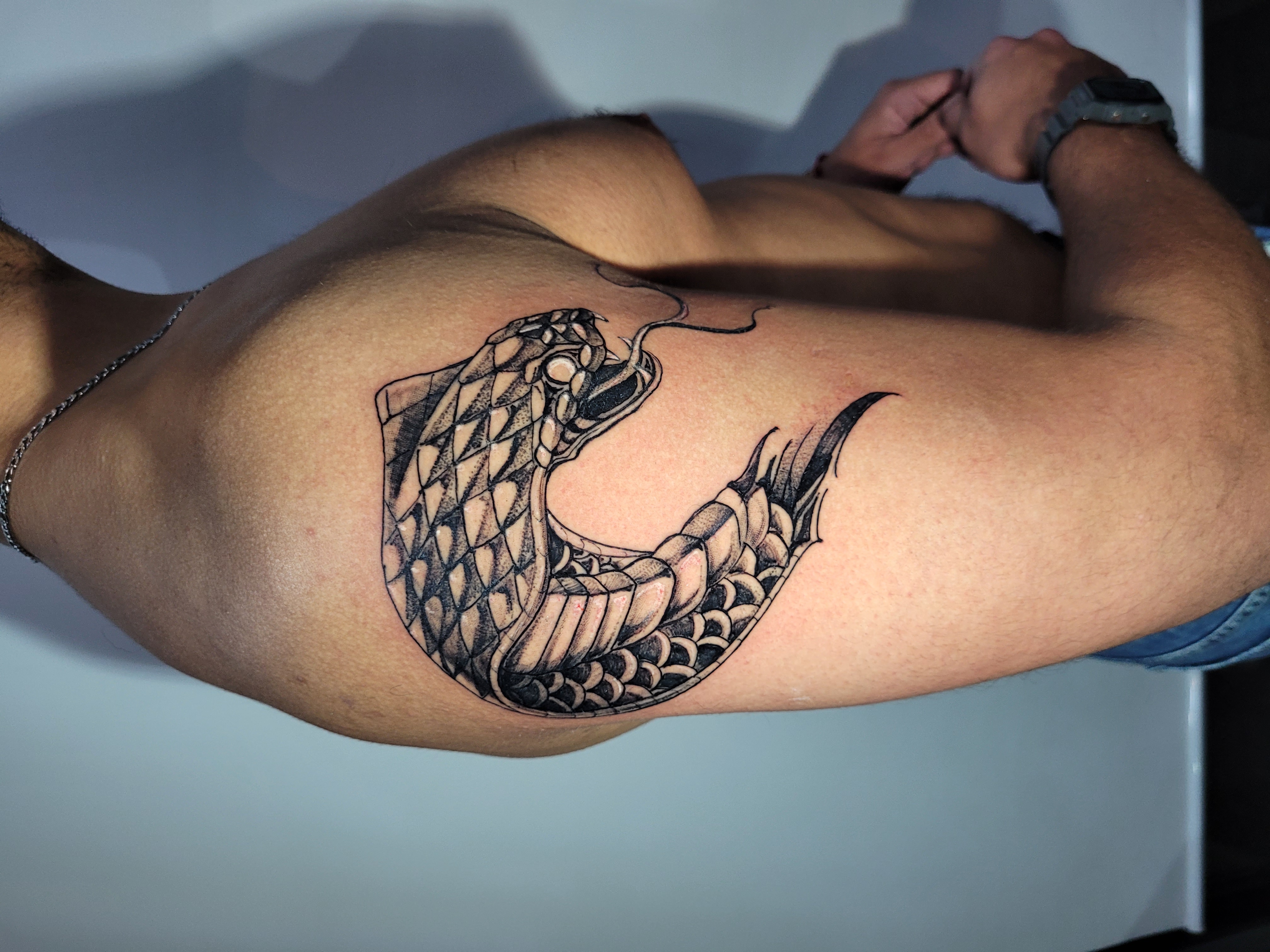 Snake